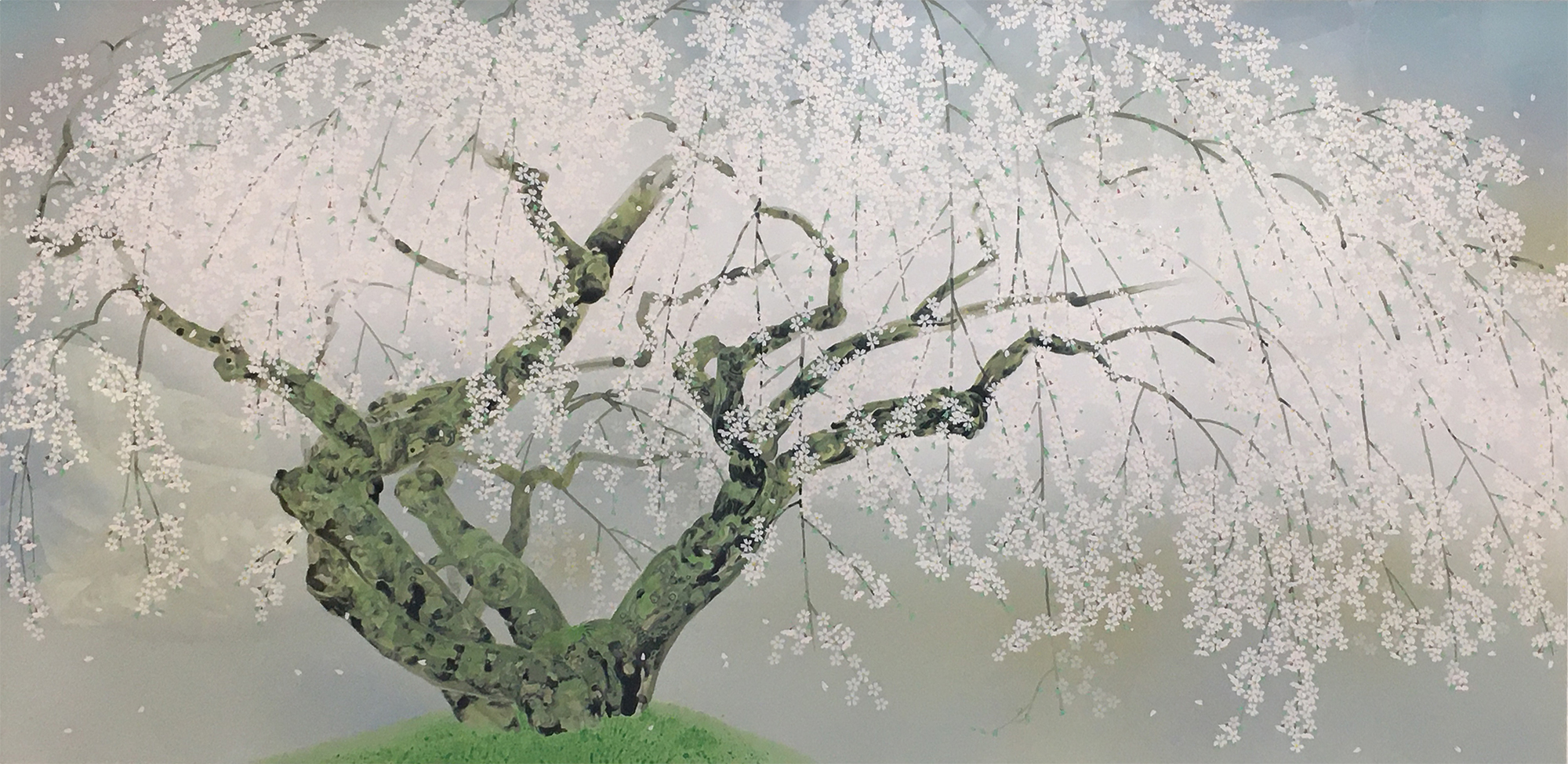 中島千波「夢殿の枝垂桜」