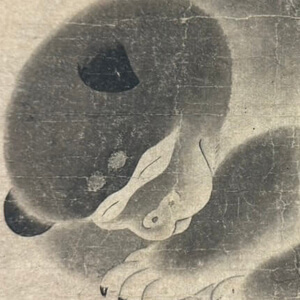 動物画