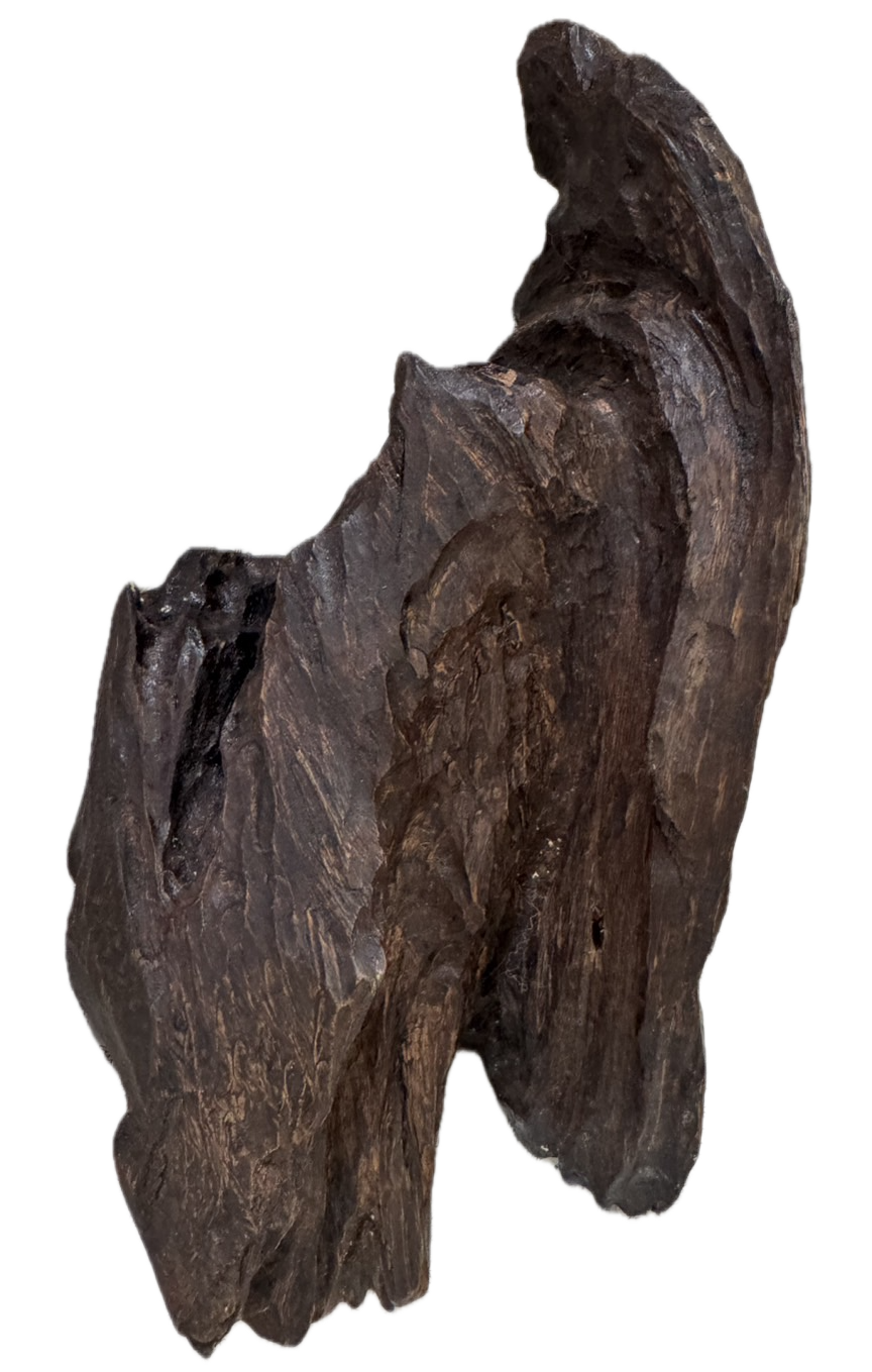 香木 沈香（じんこう）の原木