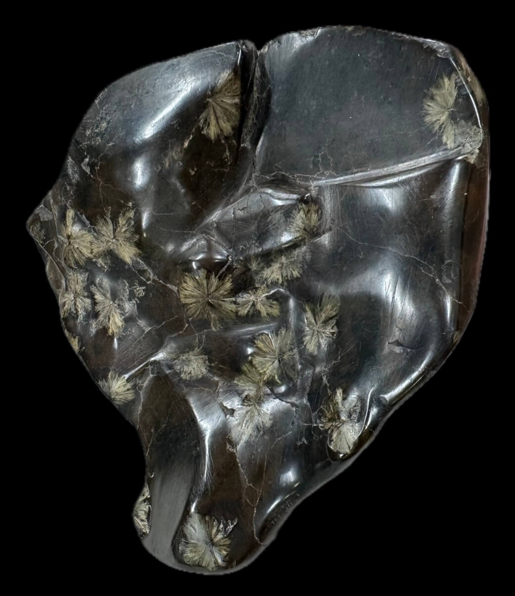 菊花石(きっかせき)