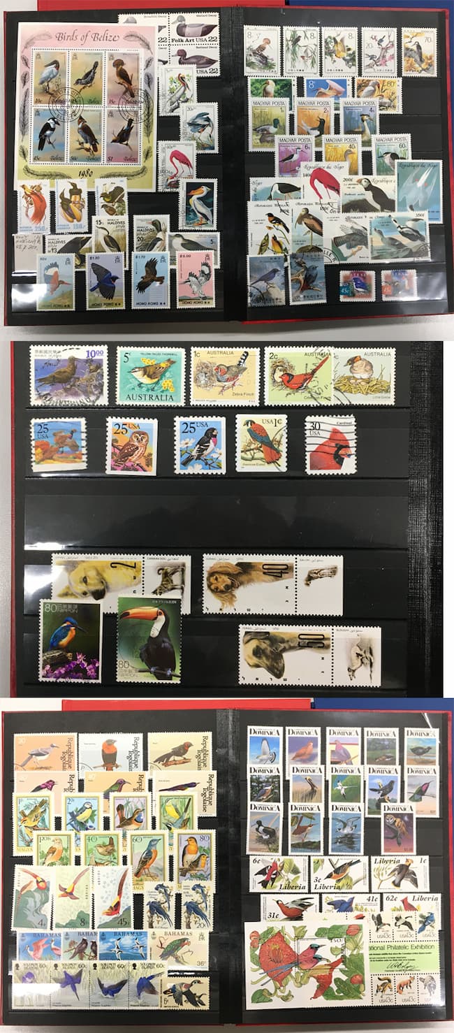 鳥の切手コレクション