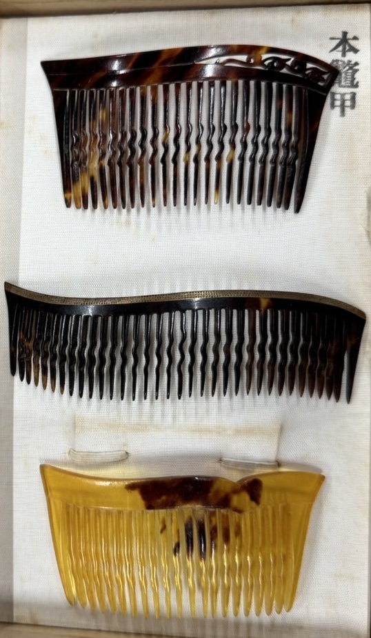 本鼈甲 櫛コレクション