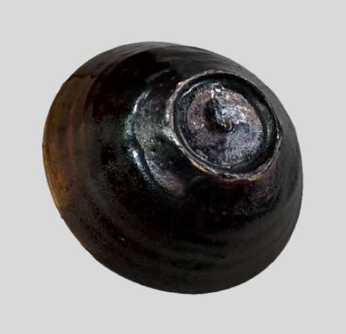 加藤春鼎 （かとうしゅんてい）古瀬戸ぐい呑