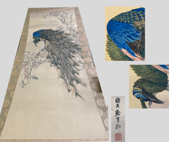 岸駒（がんく）極彩孔雀 掛け軸