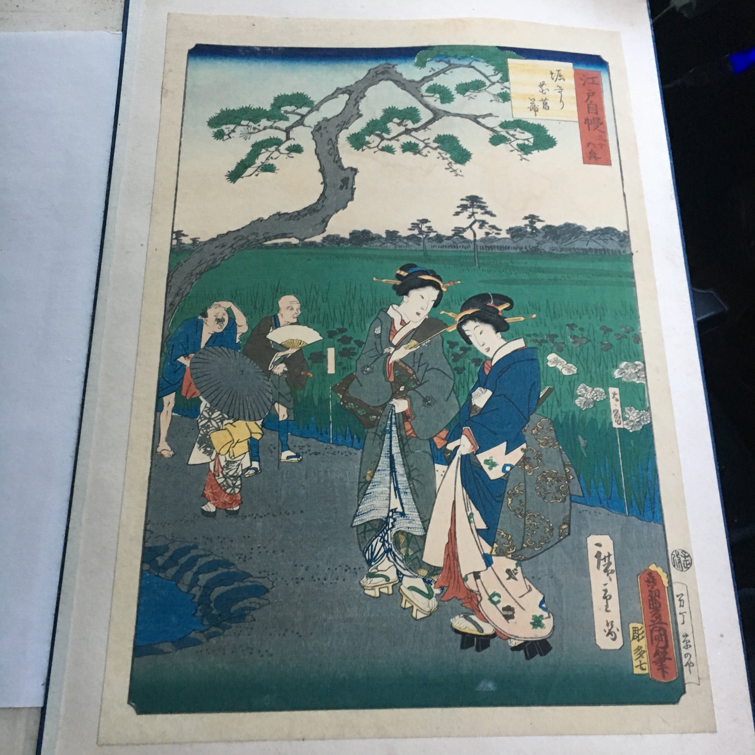 歌川国貞(三代目歌川豊国)/喜斎立祥(二代目歌川広重)「江戸自慢三十六興 堀切の菖蒲」