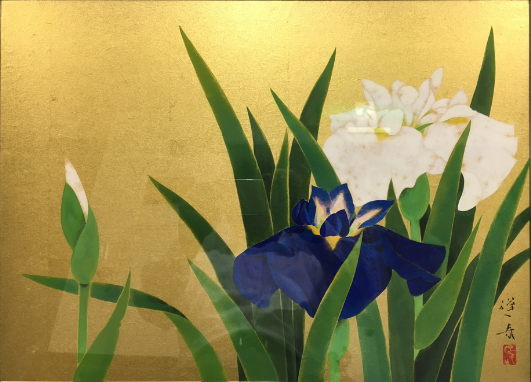 山口蓬春（やまぐち ほうしゅん）花菖蒲