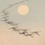 ぼかし技法があるか?