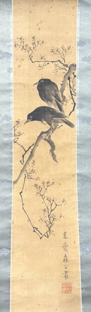 森寛斎 梅に叭々鳥図 掛け軸
