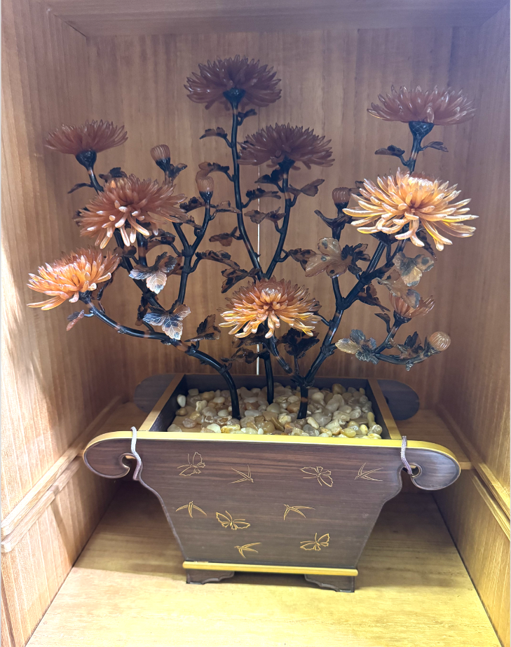 鼈甲製 菊花鉢植