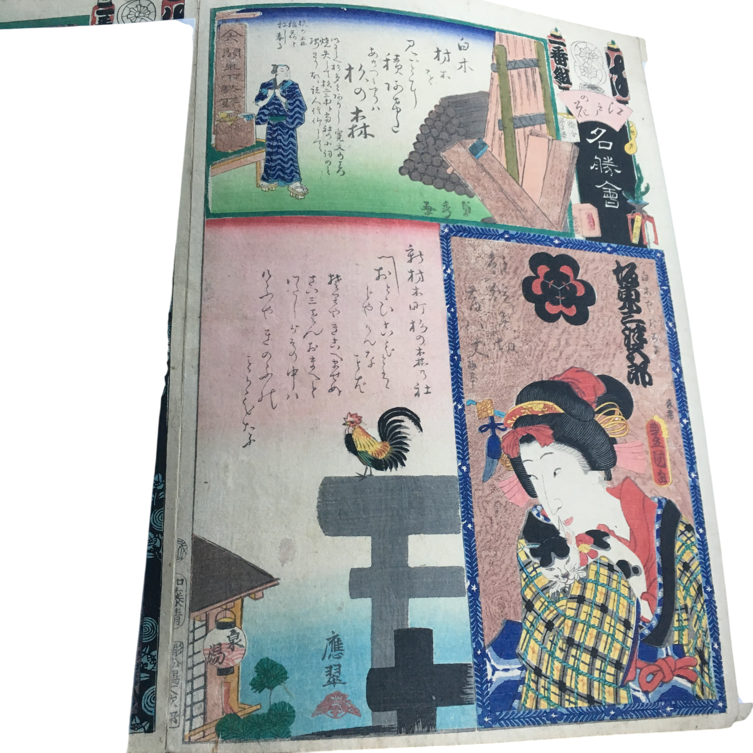 江戸の花名勝会「は 一番組 坂東三津五郎/新材木町杉の森の社/杉の森」