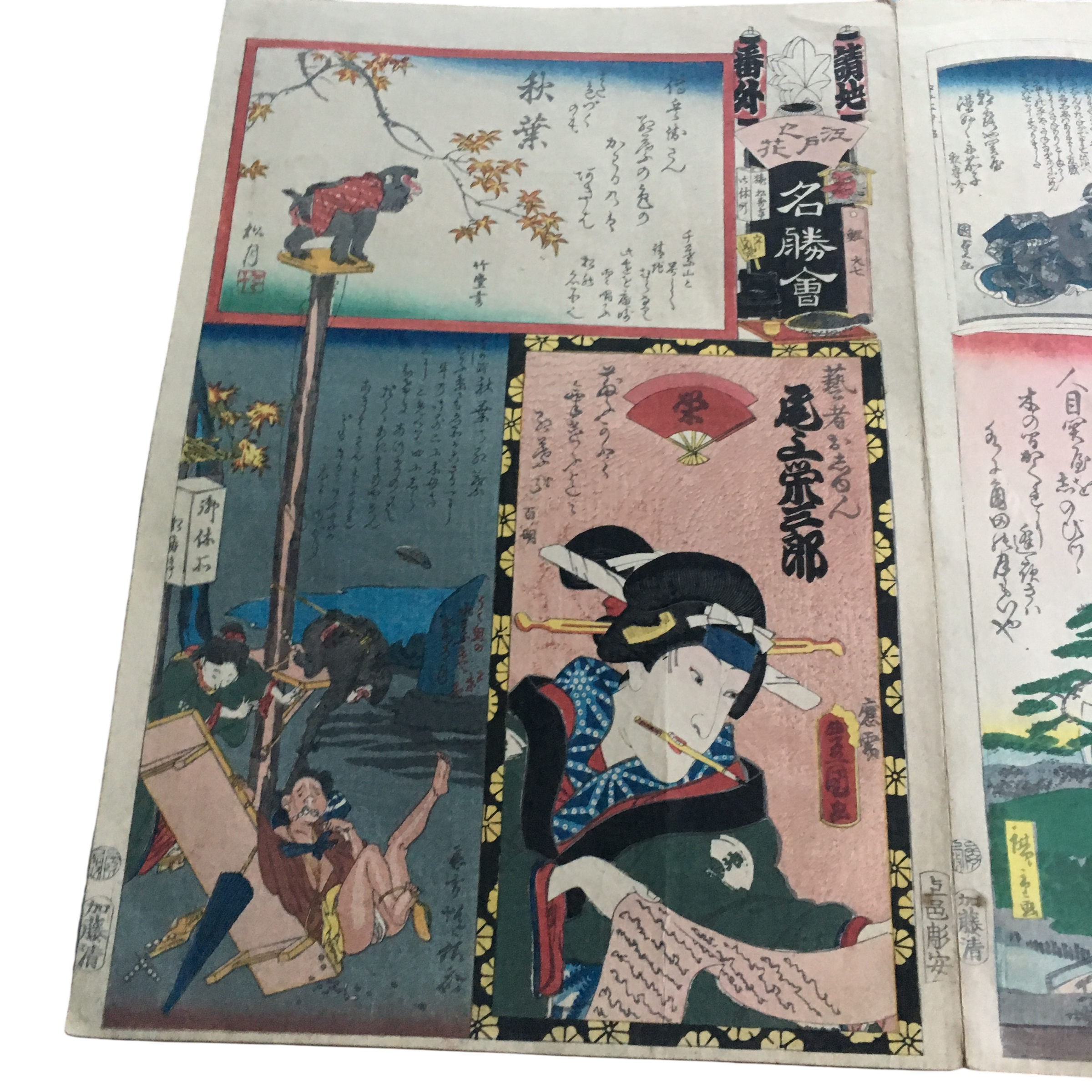 江戸の花名勝会「請地 番外 尾上栄三郎/秋葉の紅葉/秋葉」