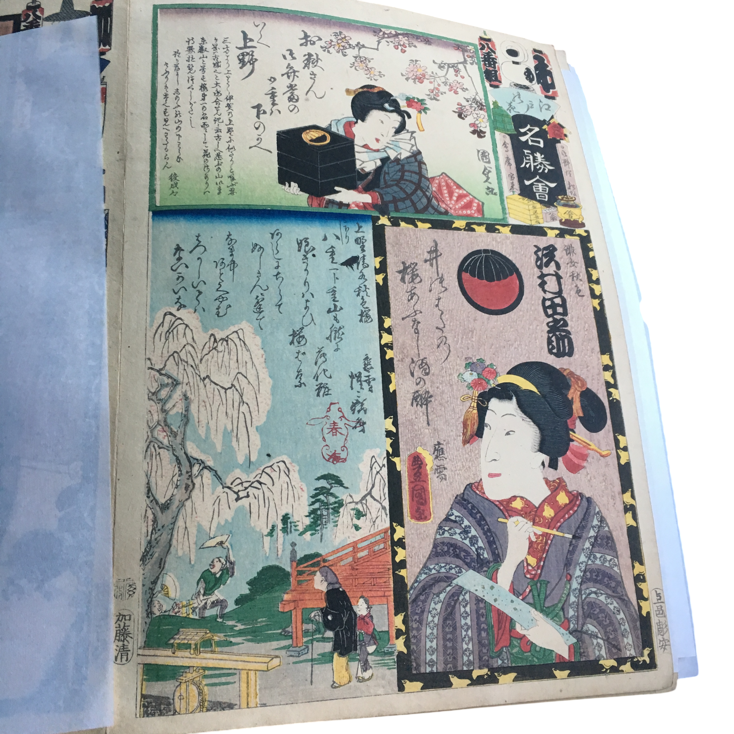 江戸の花名勝会「わ 八番組 沢村田之助/上野清水秋色桜/上野」