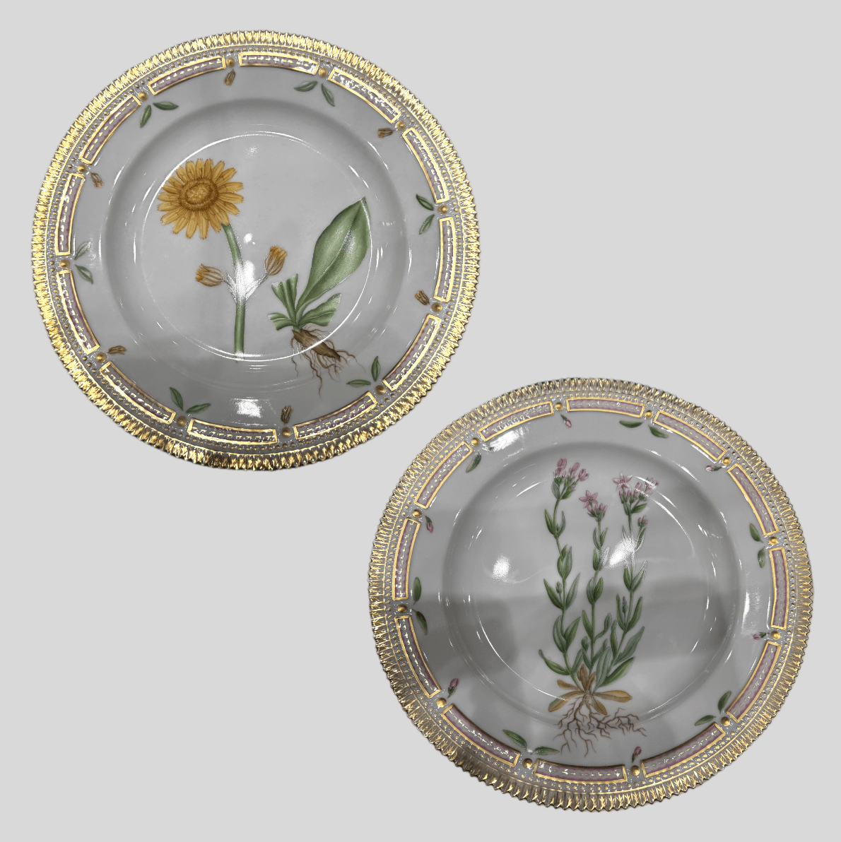 ロイヤル・コペンハーゲン(ROYAL COPENHAGEN) フローラダニカ