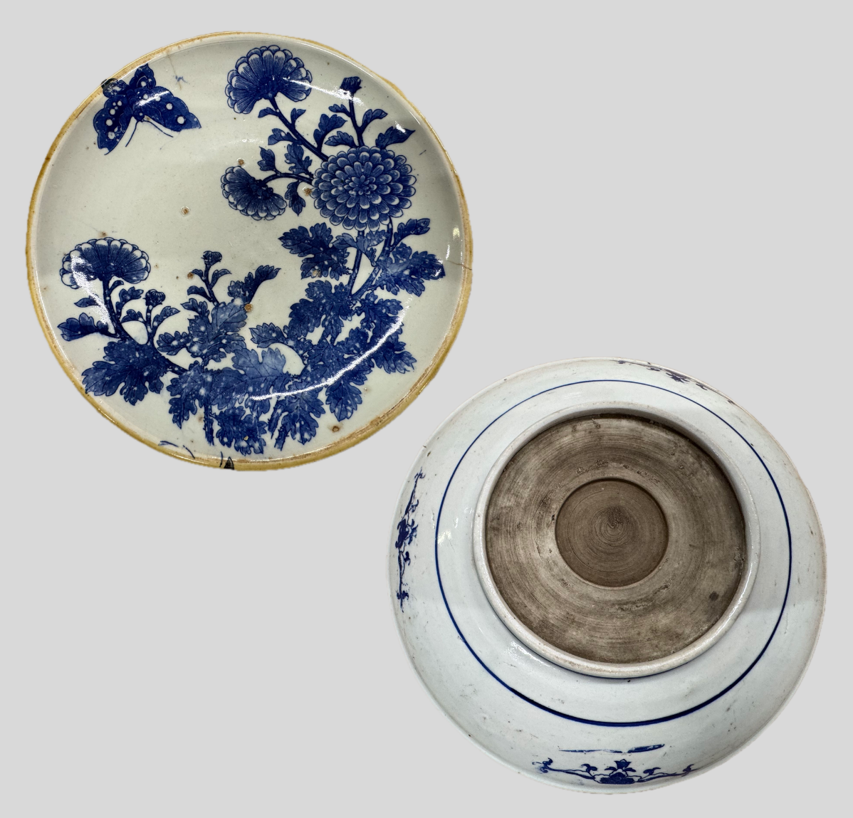 古伊万里蝶菊図染付皿