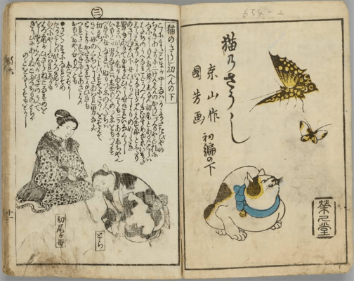 『朧月猫草紙』(専修大学図書館所蔵)